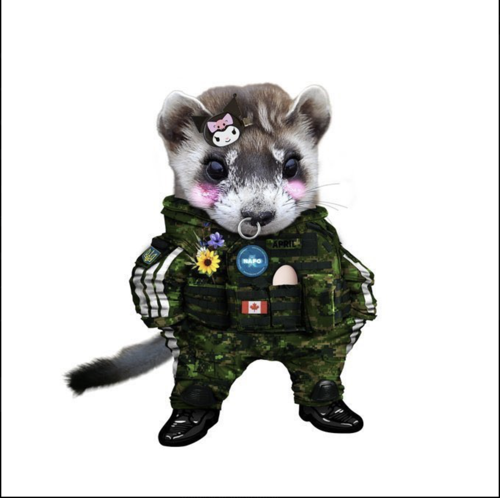 April's NAFO community character
